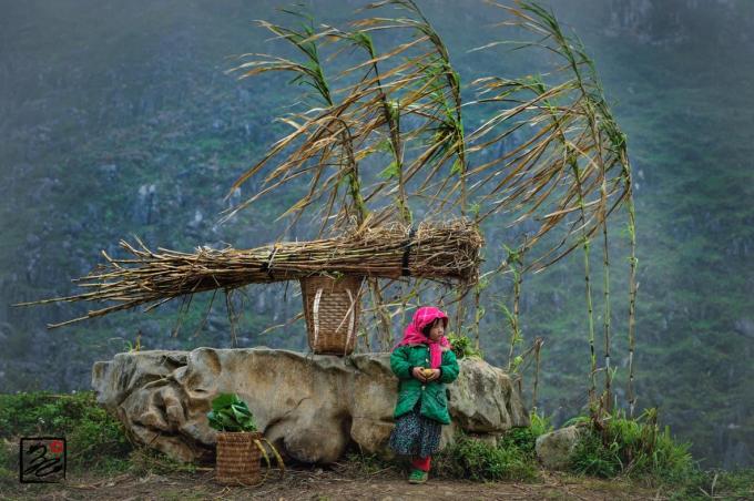 Hoa của đá hay 15 năm tình yêu Tây Bắc