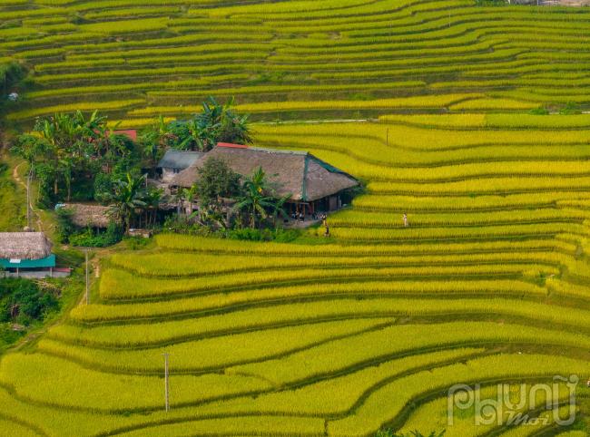 Đây là điểm đến mới lạ thu hút du khách muốn khám phá, thưởng thức vẻ đẹp hoang sơ