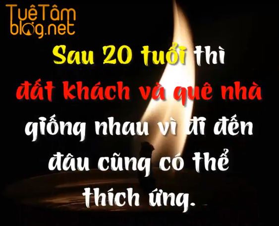 Top 4 con giáp không bao giờ giữ được tiền mặc dù có khoản thu nhập đáng nể