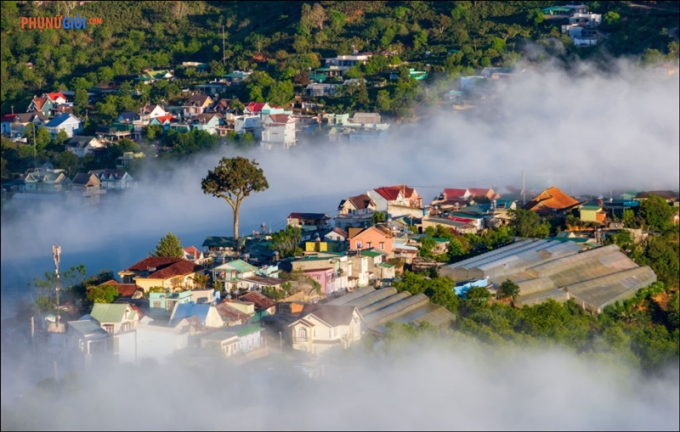 Đà Lạt mộng mơ luôn làm say đắm du khách khi ghé thành phố này. Ảnh: PNG