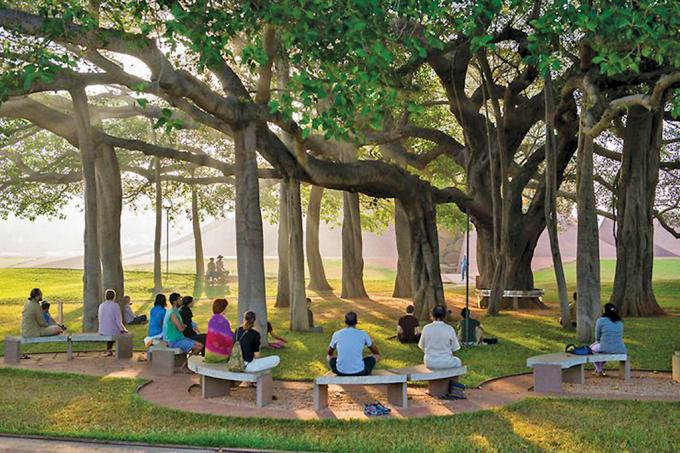 Một chuyến đến Auroville thiên đường trần thế