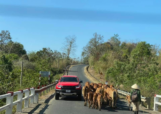 Phụ nữ off-road: sao không được?