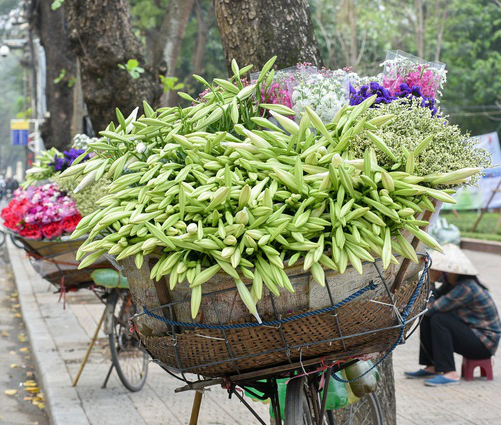 Hoa Loa kèn dịu dàng nỗi nhớ tháng Tư - Ảnh 4.