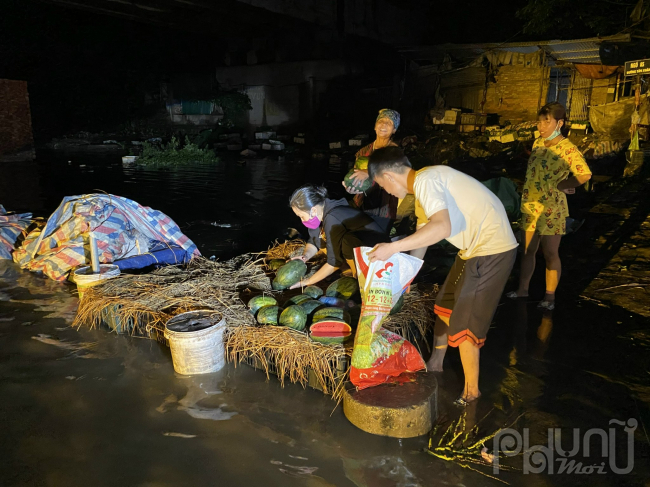 Gia đình nhà anh Nam vớt dưa hấu bị ngập sau cơn mưa to