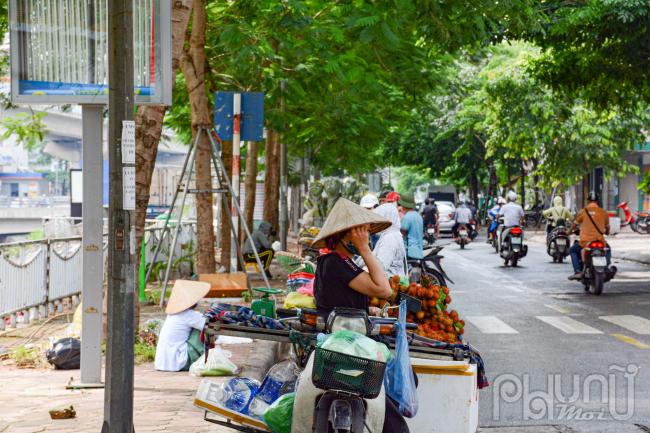 Những người bán này vẫn bày bán hoa quả như thường ngày.