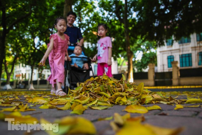   Phố Phan Đình Phùng 