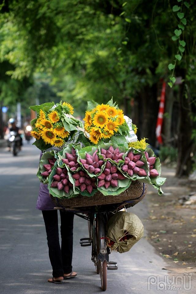 Tôi mong rằng nó sẽ là một nốt nhạc trầm trong bài ca về Hà Nội...