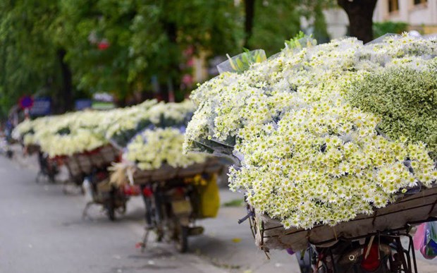 Những gánh hàng rong nặng trĩu cúc họa mi xinh xẻo hay chỉ đơn giản là những món ăn nổi tiếng tại vùng đất này.