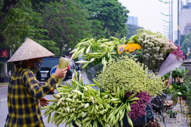 Hoa phải được tưới nước thường xuyên để hoa luôn tươi.