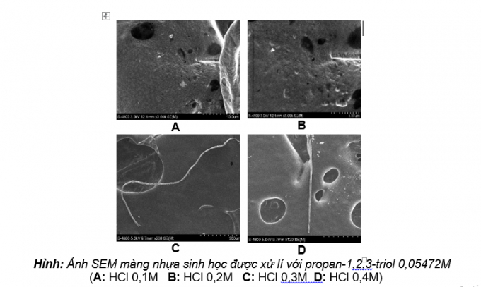 1-Anh SEM màng nhựa được xử lý với propan 0,05472. Ảnh: Nhóm NC cung cấp