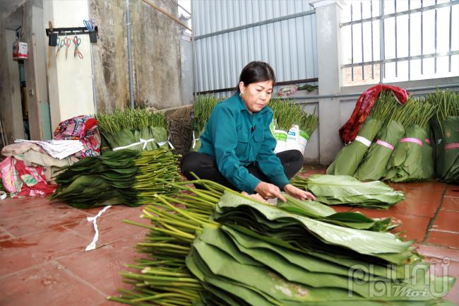 Để lá dong đẹp, người dân phải dùng dao cắt cuống, sau đó dọn vườn, bón phân cho đến khi lên lá mới rồi phun thuốc sâu. Nước được tưới thường xuyên để cây đẻ ra cây con, không phải trồng lứa mới. Nhờ đó, lá dong có thể bán quanh năm, cứ thu hoạch là có người đến thu mua.