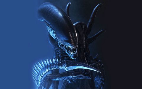   Xenomorph  