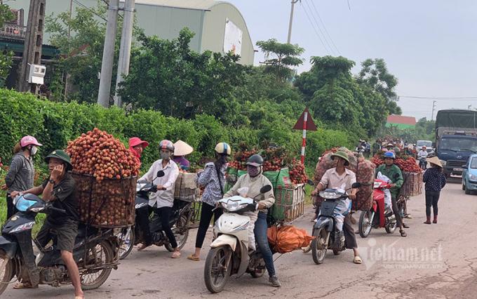 Chợ vải thiều Lục Ngạn dài 20km, chỉ một mẩu giấy nhỏ thu về 3.500 tỷ đồng