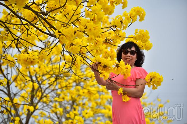 Cô Nga (Nghi Tàm, Tây Hồ) chia sẻ: “Nghe tin hoa đang nở rộ, cô cùng bạn đi gần 20km, phải mất rất lâu mới có thể hỏi thăm được đến đây”.