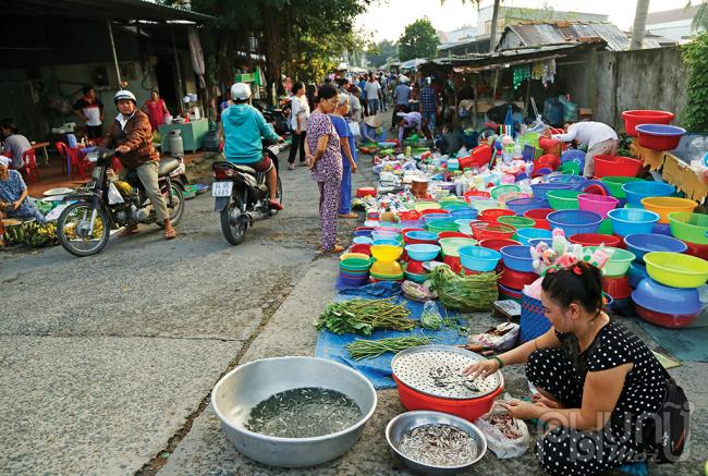 Mớ  cá linh non đã có người đặt mua hết.