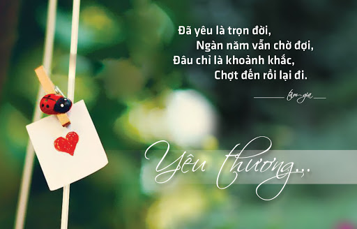 Tử vi hàng ngày 21.2.2020 của 12 con giáp: Sửu cẩn thận tài chính, Dần sự nghiệp trở ngại