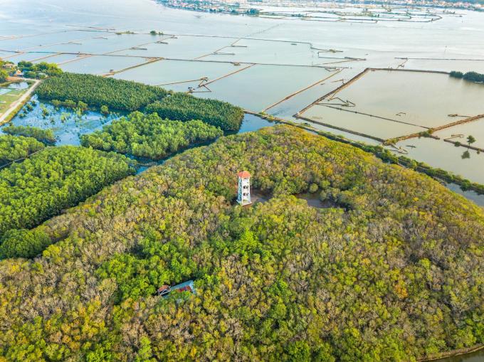 Phá Tam Giang là vùng nước lợ rộng lớn, thu hút hàng nghìn khách du lịch trong và ngoài nước mỗi năm. Ảnh: D.Tiến