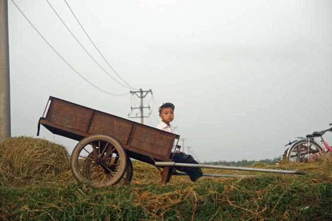 Ảnh minh họa: internet.