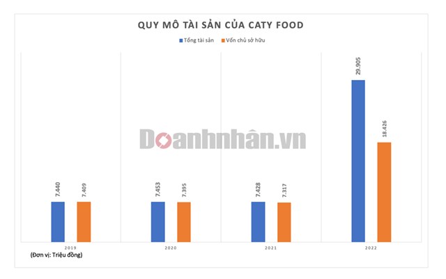 Quy mô tài sản của CatyFood (Theo Doanhnhân.vn).