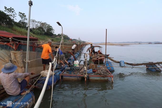 Người dân đang tìm cách di chuyển bè ra nơi có nước để cứu vãn số cá còn sống (Ảnh: VNexpres)