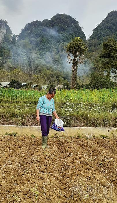 Phía làng Chục Muông chân núi Phù Thẩm Pụt