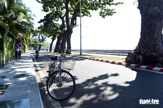 Cây bàng đi qua thăng trầm cùng người dân Côn Đảo 