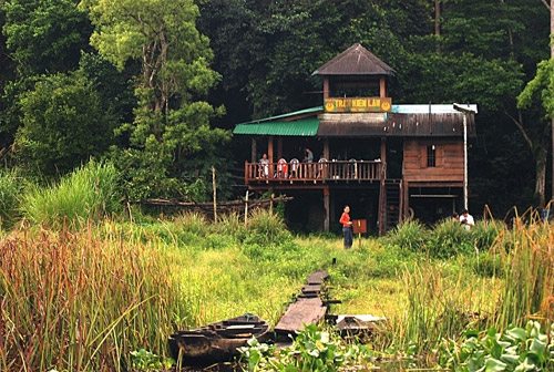 Gợi ý những địa điểm du lịch quanh năm xanh mát nằm sát Sài Gòn