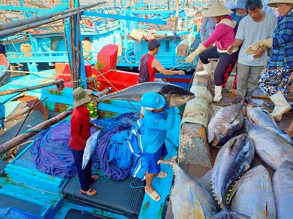 Đầu năm tàu cá cập bến mang 