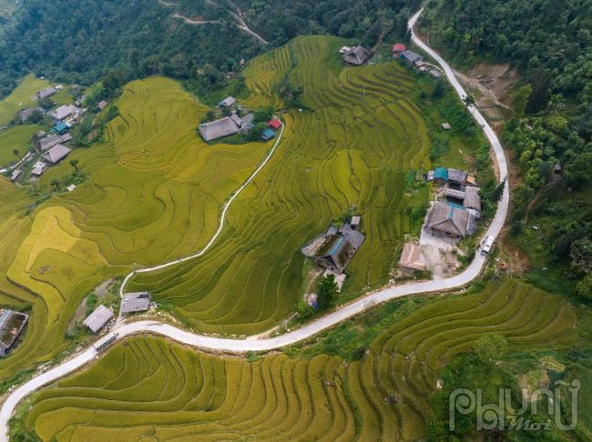 Đứng bên ven đường ngắm những thửa ruộng bậc thang đang vào mùa lúa chín mới thực sự cảm nhận được sự tinh tế, khéo léo của người Dao nơi đây để tạo ra những thửa ruộng bậc thang đẹp mềm mại như tác phẩm nghệ thuật khổng lồ