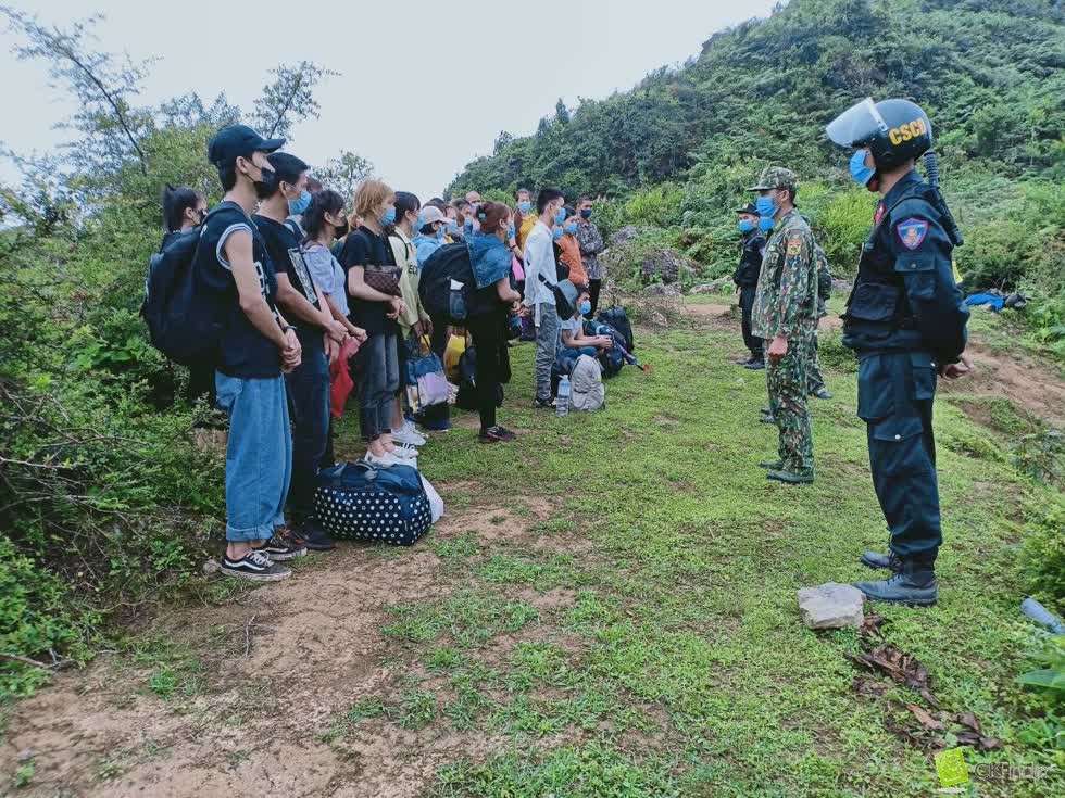 Ảnh minh họa