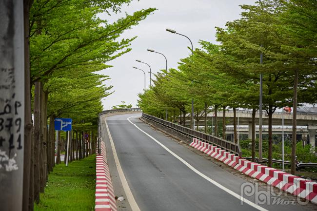 Hàng cây bàng lá nhỏ này được trồng dọc hai bên đường kết hợp với đường cong của nút giao tạo hình ảnh đẹp mắt thu hút sự chú ý nhiều người qua lại.