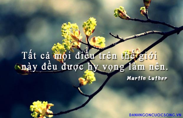 Tử vi hàng ngày 9/3/2020 của 12 con giáp: Thìn không nên đầu tư, Tỵ sự nghiệp quá tải    