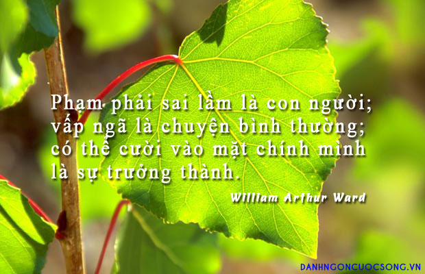 Tử vi hàng ngày 7.1.2020 của 12 con giáp: Sửu có triển vọng nghề nghiệp, Thìn tài chính rất tốt