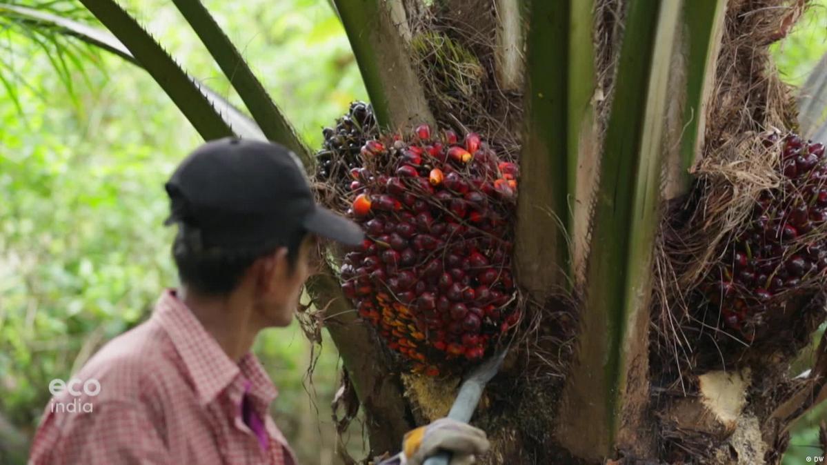 Quan hệ ASEAN – EU sẽ như thế nào trong năm 2023? - Ảnh 4.