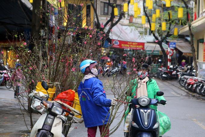   Những cành đào mang chút 