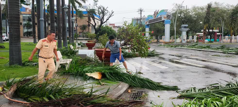 Nhiều cây xanh đổ ngã,  