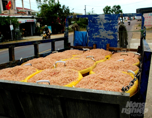 Ruốc Phú Yên chỉ còn 20.000 đồng/kg. Ảnh: Nông Nghiệp.