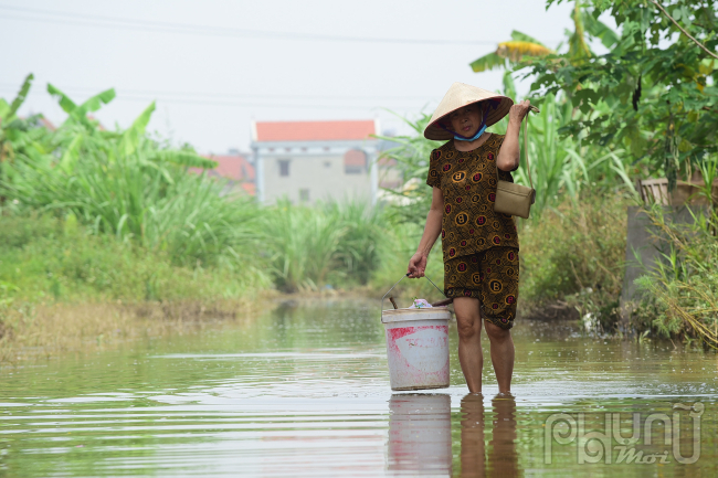 Người dân này đi kiểm tra rau quả trồng trước đó nhưng nước ngập lâu nên rau đã bị hỏng hết.