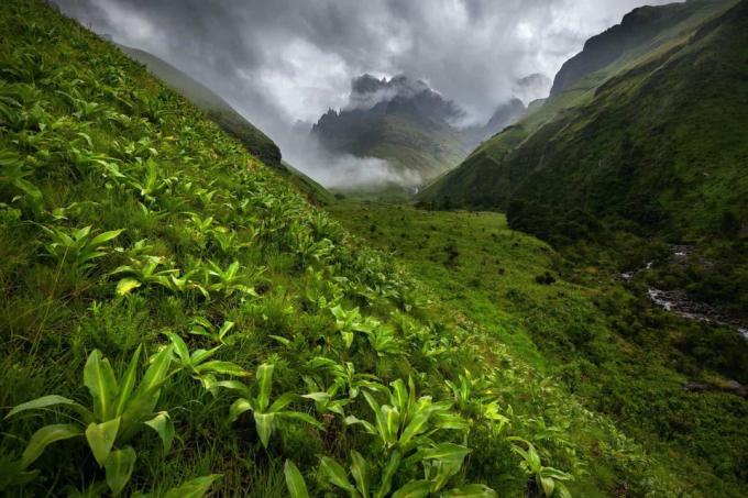           Nhiếp ảnh gia Carl Smorenburg là người đã chụp tác phẩm ấn tượng này tại Công viên Ukhahlamba-Drakensberg ở Nam Phi.           