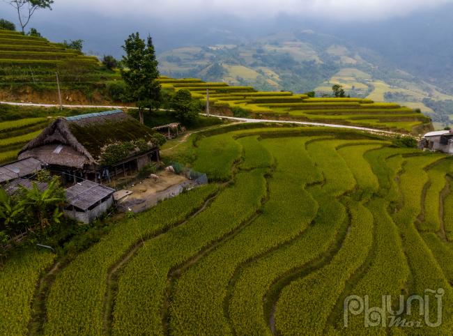 Cảnh sắc thiên nhiên rực rỡ cùng khí hậu trong lành mang lại sự thanh bình, yên ả, xua đi mọi bộn bề lo toan của thị thành.