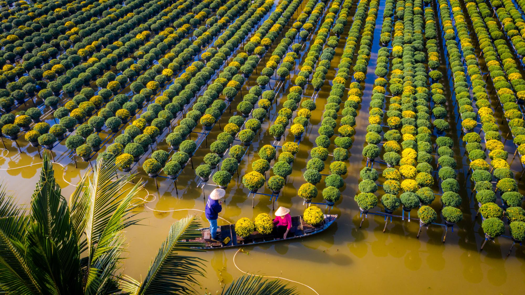 Làng hoa hơn 100 năm Sa Đéc tất bật vào xuân - Ảnh 7.