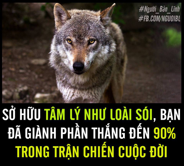 Tử vi sự nghiệp ngày 8/2/2020 của 12 cung hoàng đạo: Cự Giải bận rộn, Sư Tử xem lại thái độ làm việc