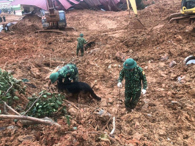   Chó nghiệp vụ tham gia tìm kiếm.  