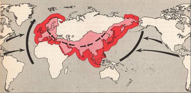 Cuộc chiến ở Ukraina đã tạo một 'kỷ nguyên địa chính trị' mới? - Ảnh 2.