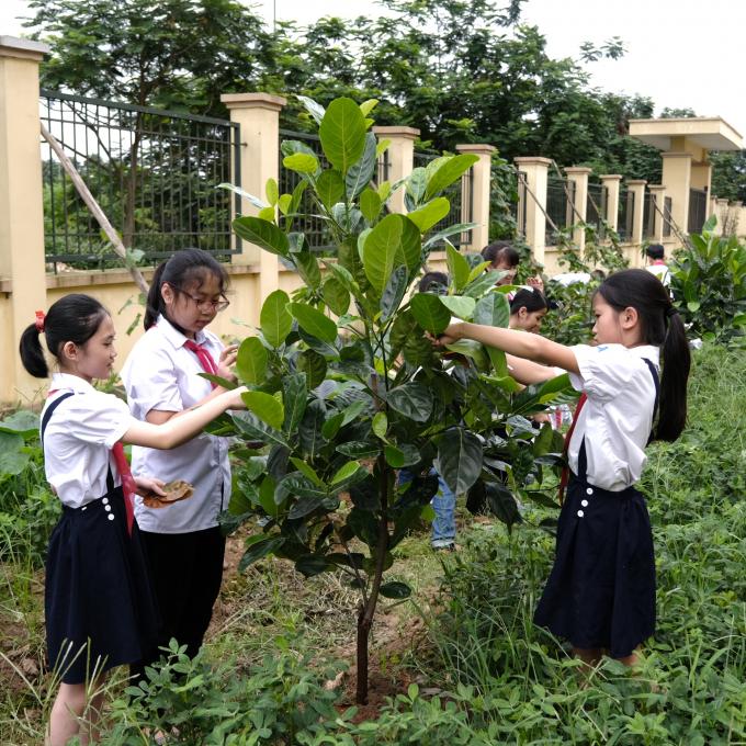 Vinamilk và hành trình 9 năm trồng cây góp phần chống biến đổi khí hậu, ô nhiễm môi trường 