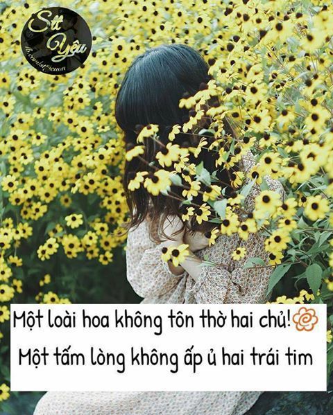 Tử vi hàng ngày 14/2/2020 của 12 con giáp: Dần tình yêu lãng mạn, Mẹo cẩn trọng công việc