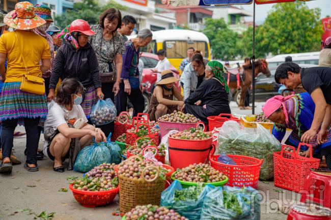 Bà con nông dân mang mận Tam Hoa ra chợ phiên Bắc Hà bán cho du khách và tư thương từ khắp nơi đổ về.