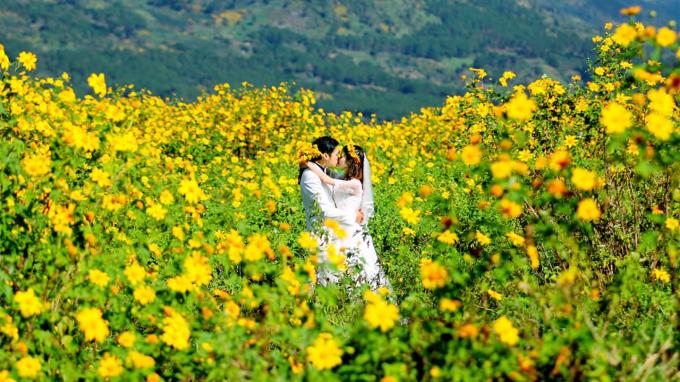 Sự tích hoa dã quỳ bắt nguồn từ câu chuyện chàng K'lang và nàng H'limh.