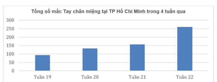 Nguy cơ bùng phát dịch bệnh tay chân miệng và sốt xuất huyết tại TP.HCM - Ảnh 3.