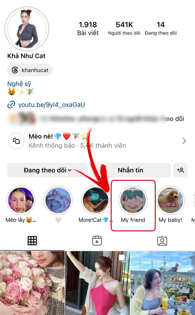 Khả Như vẫn giữ hình ảnh thân thiết bên Puka từ tháng 6/2022 trong mục Bạn bè trên Instagram